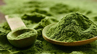 Best Greens Powder